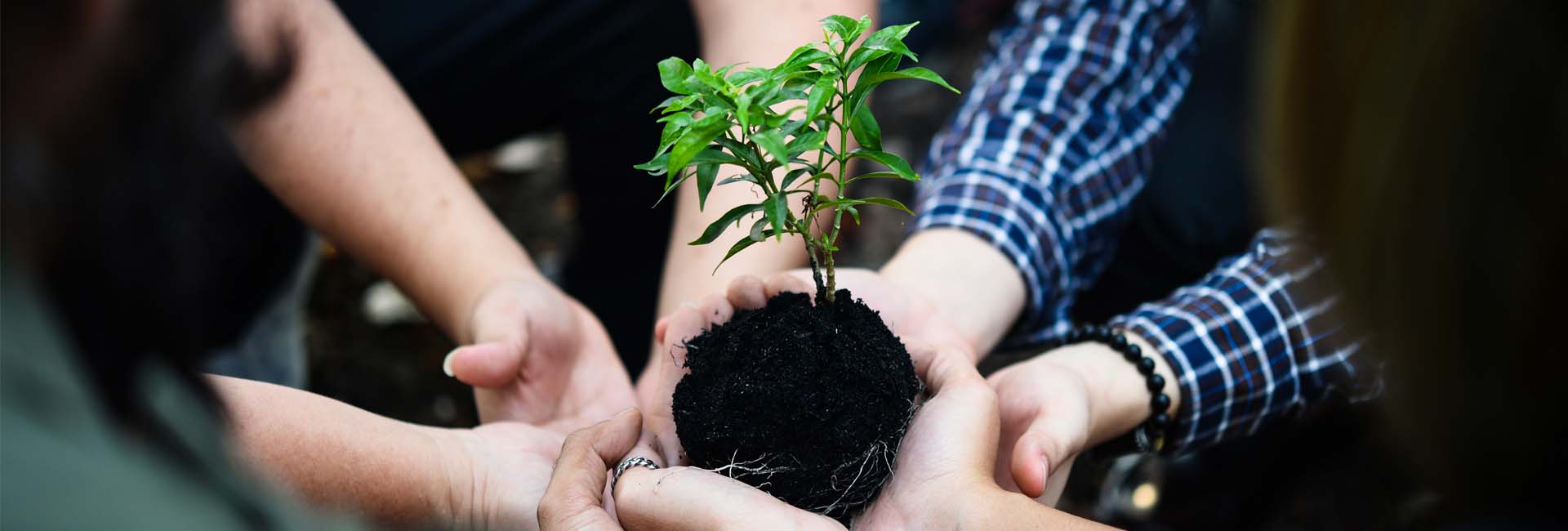 Wacky Advisors | Osnovne vrednosti