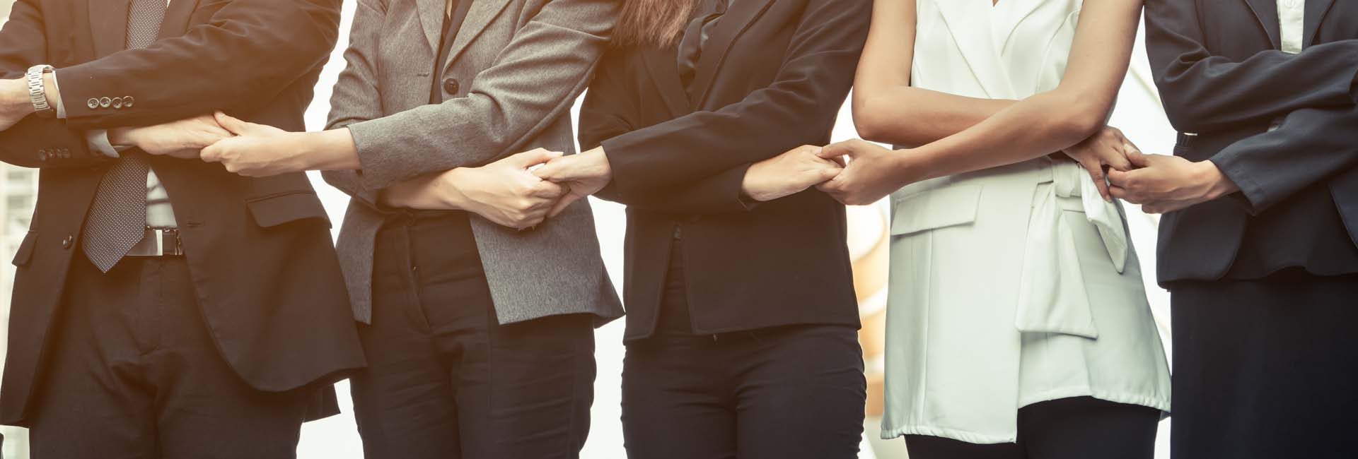 Wacky Advisors | Partneri