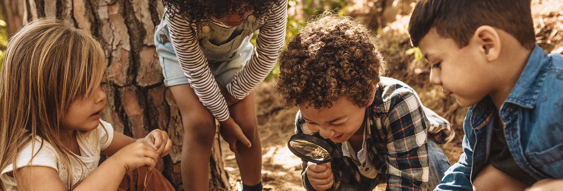 Wacky Advisors | Radoznalost je važna