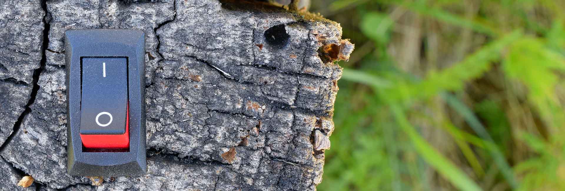 Wacky Advisors | Spajanje nespojivog