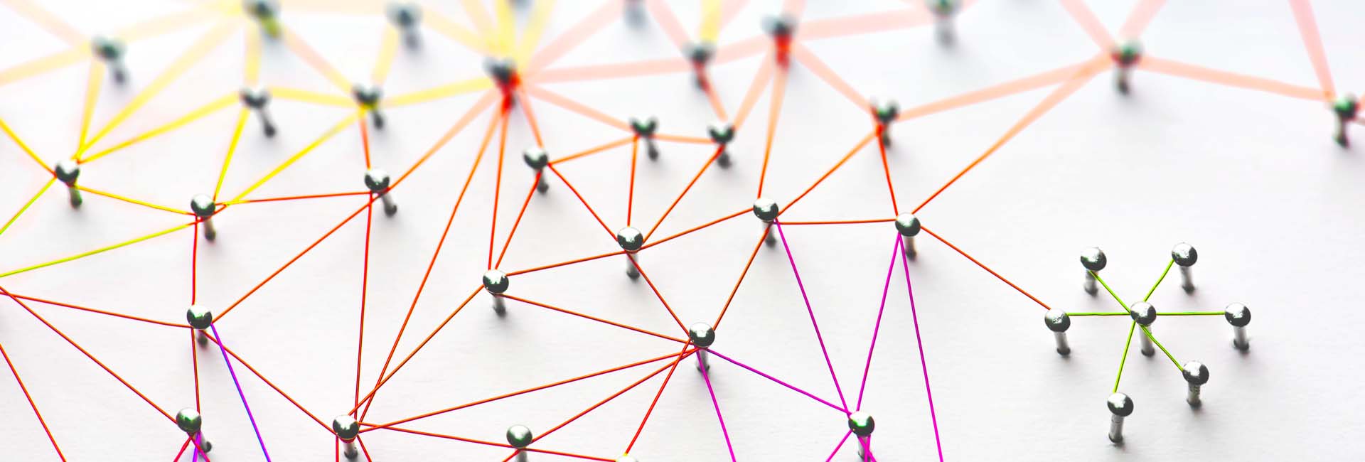 Wacky Advisors | Analiza lanca vrednosti